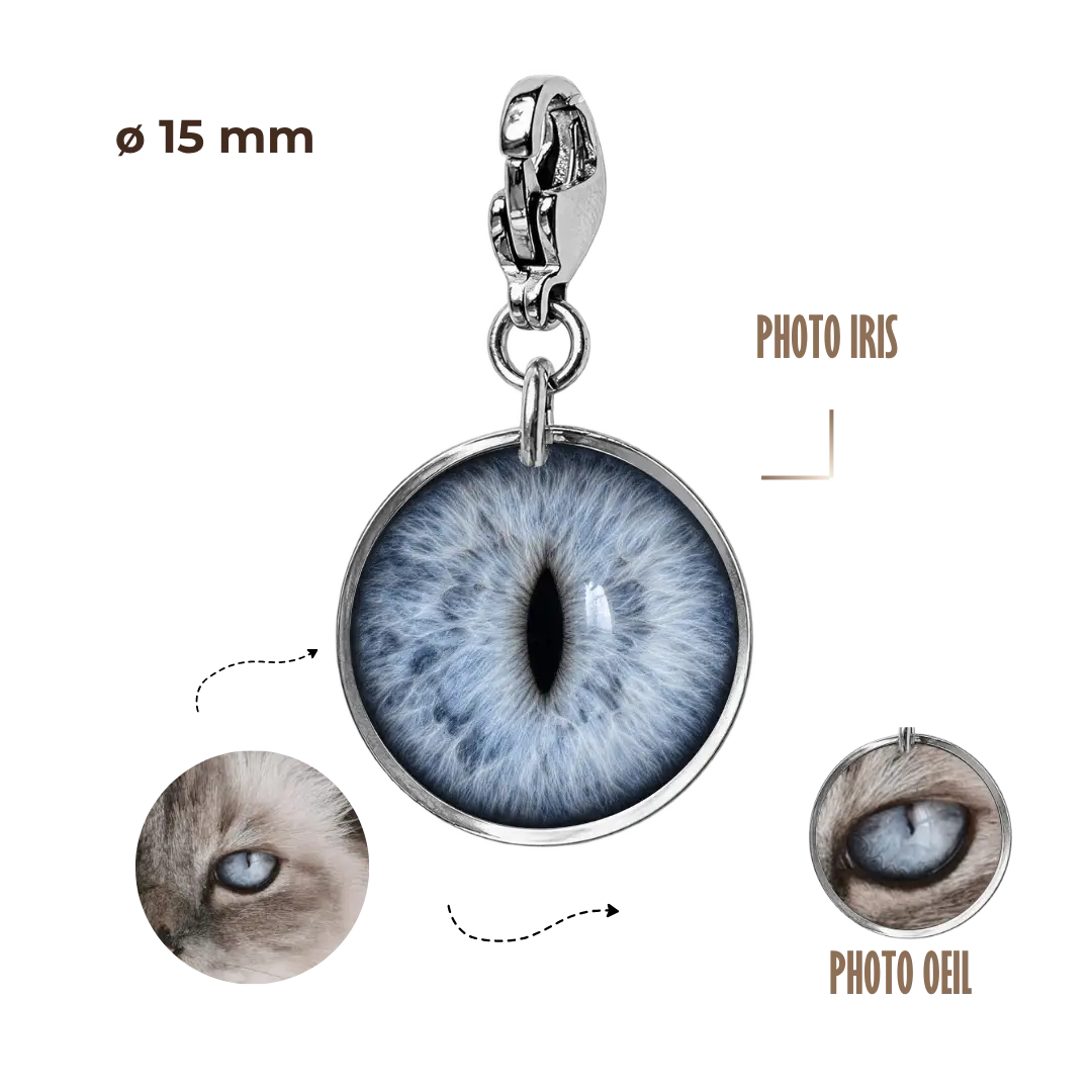 BIJOUX SOUVENIR CHARMS ARGENT CHARMS PETIT SOUVENIR - IRIS/OEIL - 15mm