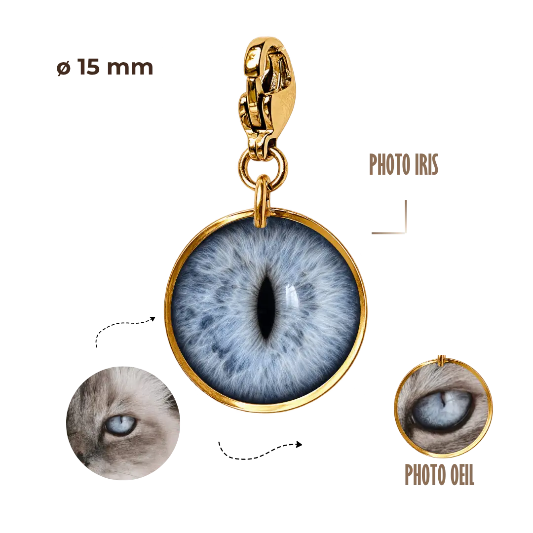 BIJOUX SOUVENIR CHARMS DORÉ CHARMS PETIT SOUVENIR - IRIS/OEIL - 15mm