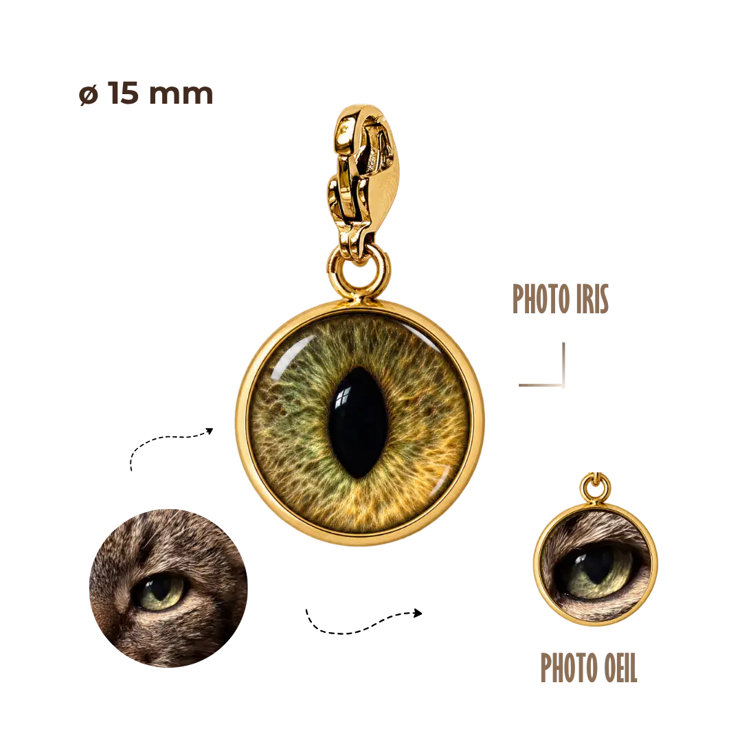 BIJOUX SOUVENIR CHARMS DORÉ CHARMS SOUVENIR OEIL/IRIS 15mm