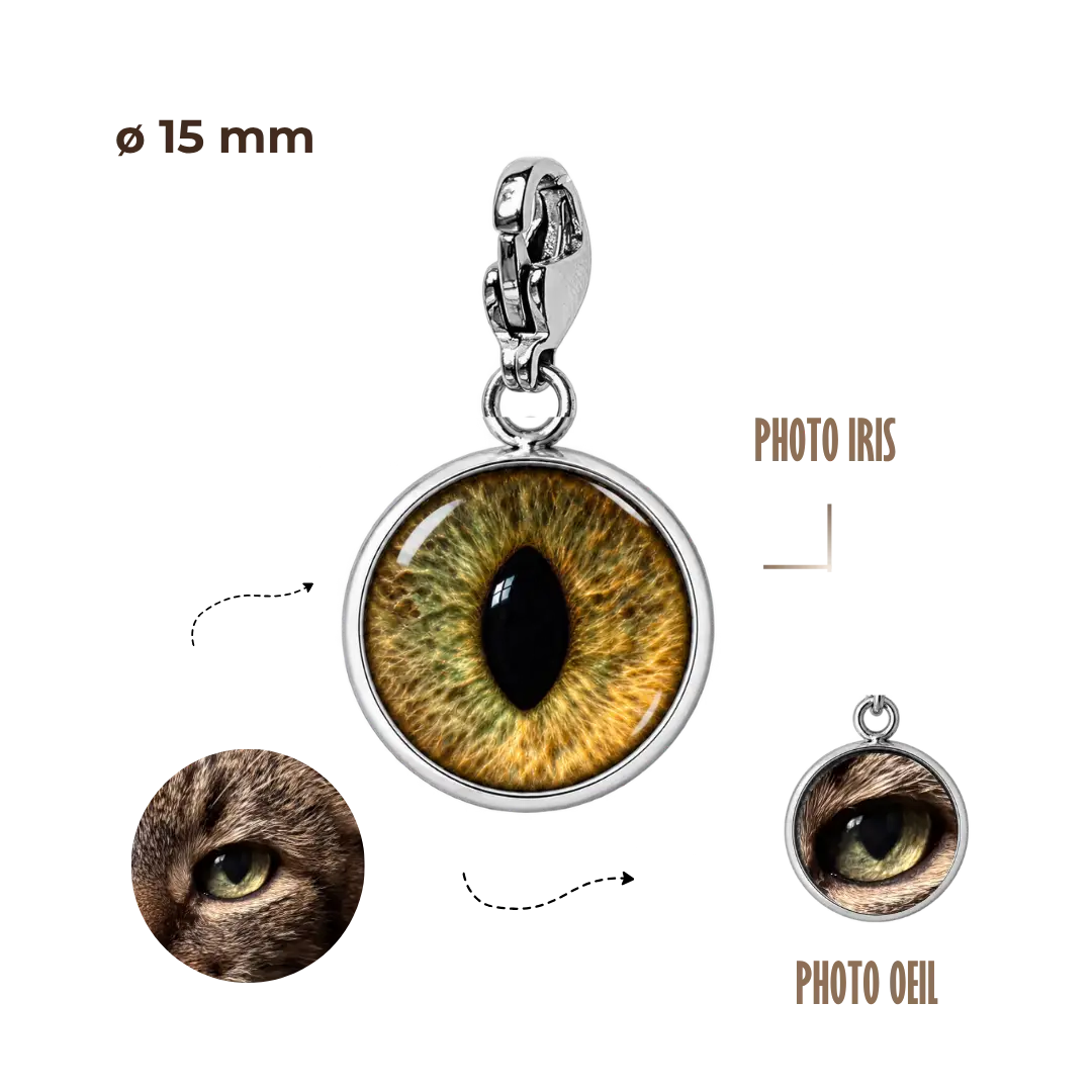 BIJOUX SOUVENIR CHARMS ARGENT CHARMS SOUVENIR OEIL/IRIS 15mm