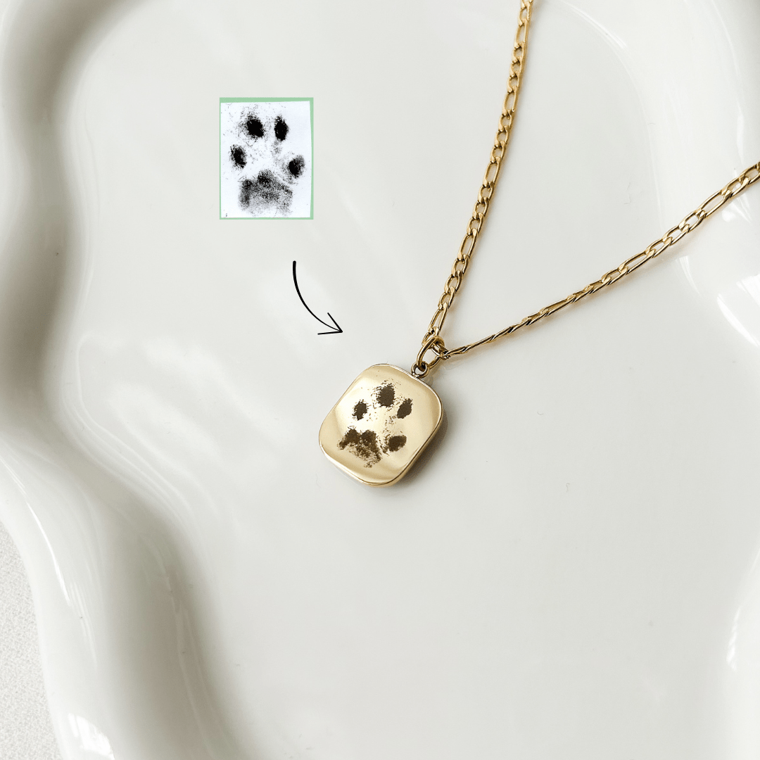 COLLIER ASTRO ( Constellation )