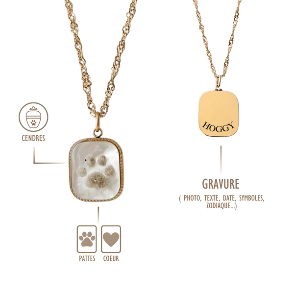 BIJOUX SOUVENIR COLLIERS DORÉ / Patte COLLIER CASSANDRE