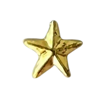 Luxie Jewelry 34 - Étoile relief Inclusions
