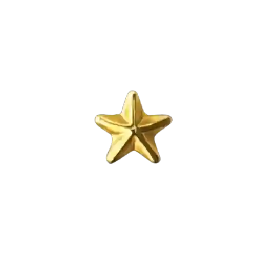 Luxie Jewelry 31 - Petite étoile Inclusions