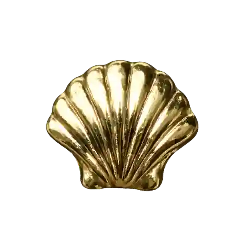 Luxie Jewelry 18 - Coquillage Inclusions